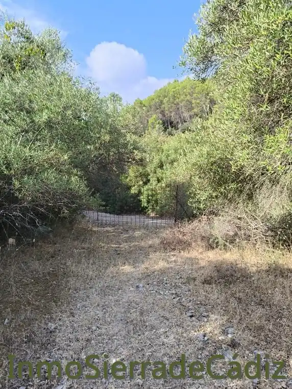 Finca rústica en venda en Algodonales