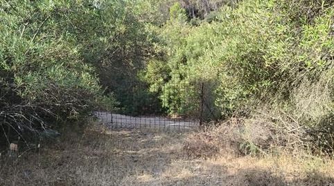 Finca Rúst. en venta en La Nava y Lapa., imagen 4