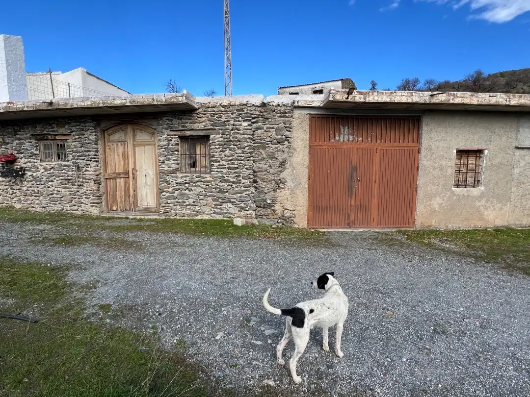 Casa rústica amb jardí en venda a Real 10, imagen 10