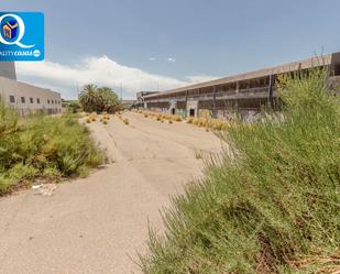 Exterior view of Industrial land to rent in Elche / Elx