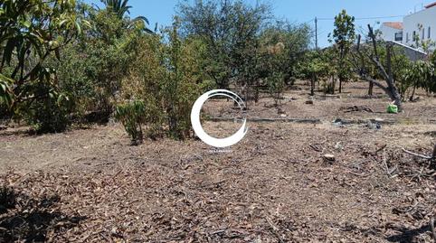 Photo 3 of Land for sale in San Felipe - San Marcos - Las Cañas, Santa Cruz de Tenerife