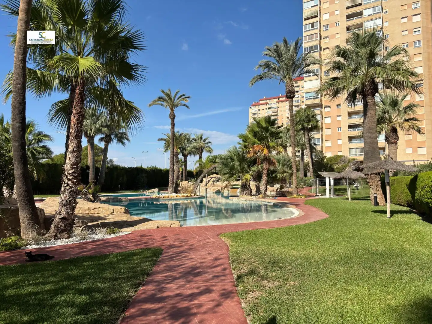 Piso con piscina en venta en Playa Muchavista, imagen 26