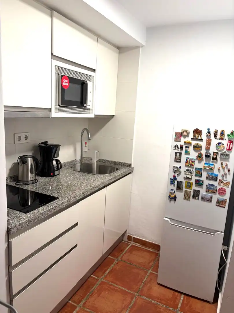 Cuina de Apartament de lloguer en Málaga amb Aire condicionat, Moblat i Internet