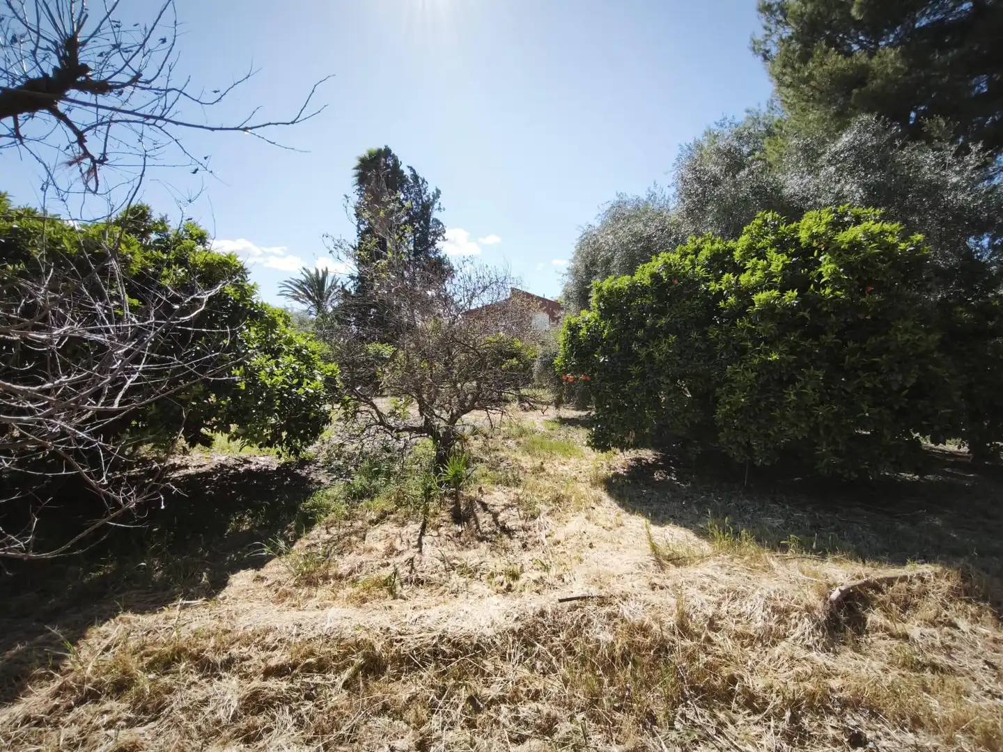 Houses for sale in Molina de Segura