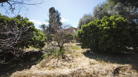 Photo 4 of Houses for sale in El Llano, Molina de Segura