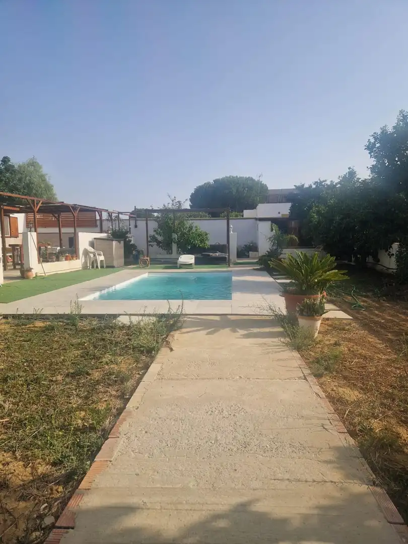 Swimming pool of Country homes for sale in Puerto Real  with Private garden and Swimming Pool
