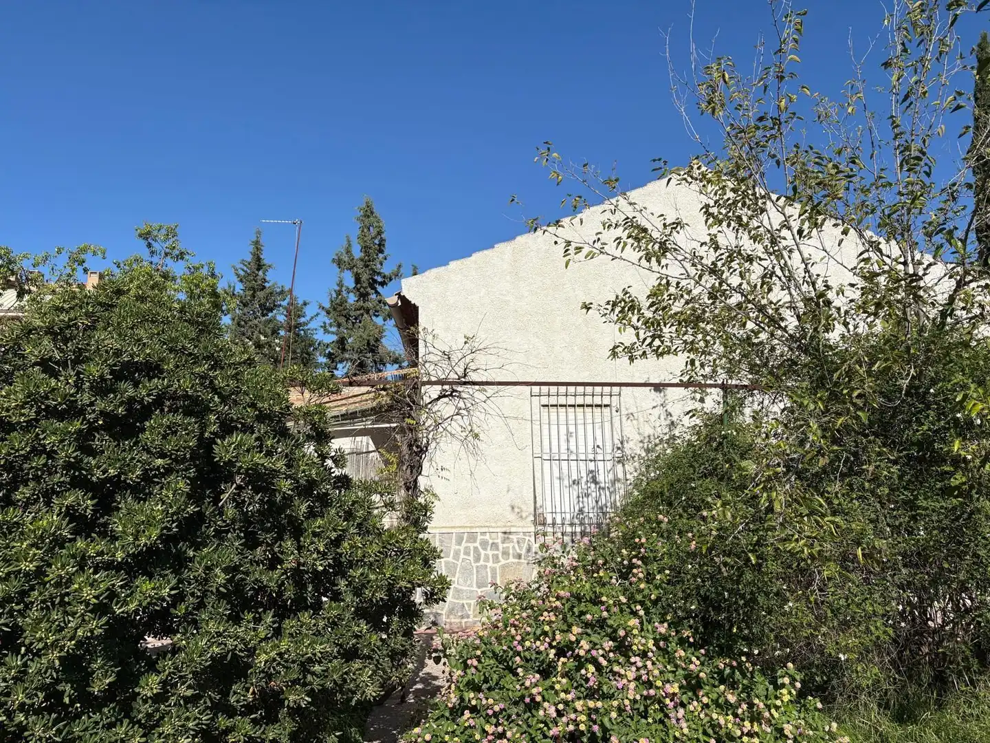 Exterior view of Houses for sale in Murcia  with Private garden and Swimming Pool