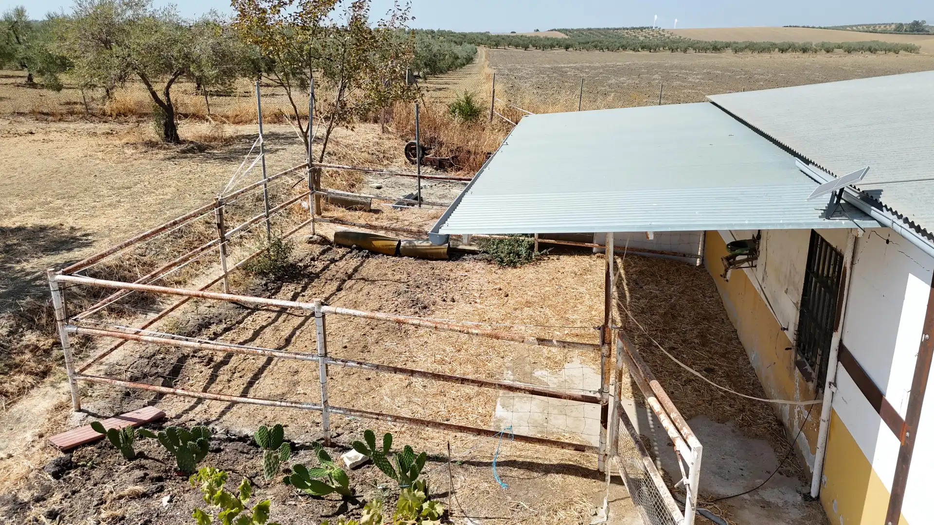 Rural land for sale in Polígono 12 Parcela 177 LA CORIANA. OLIVARES (SEV, imagen 22