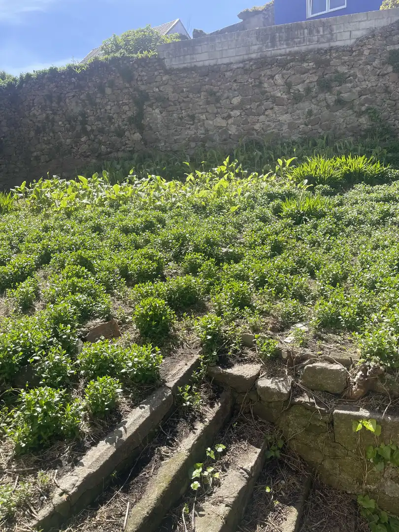 Terreni e lotti in vendita a Fisterra, imagen 7