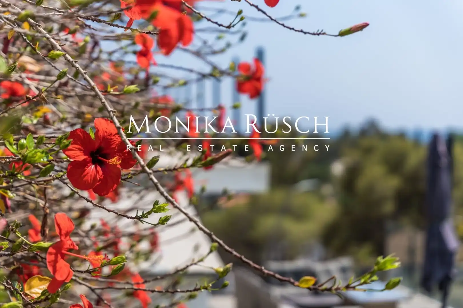 Houses for rent in Bellamar