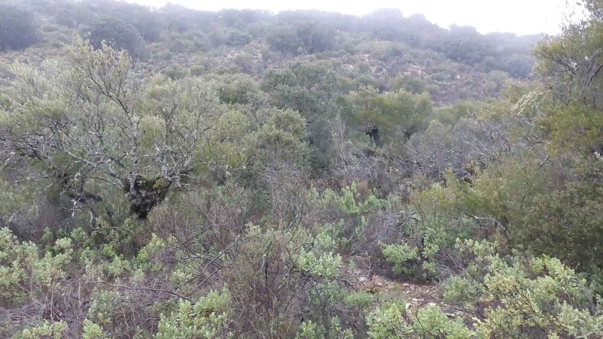 Grundstücke zur Miete in Loranca de Tajuña