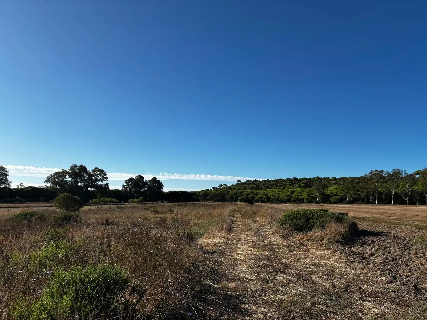 Residential land for sale in Núcleo urbano