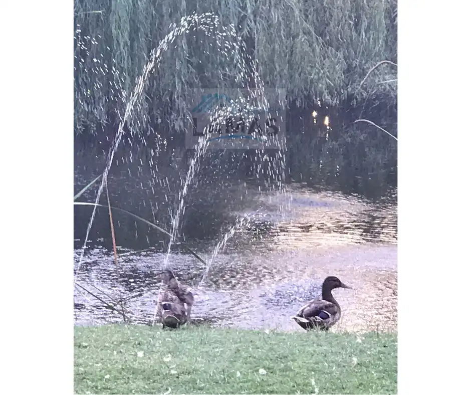 Vista exterior de Finca rústica en venda en Belvís de Monroy amb Aire condicionat, Jardí privat i Piscina