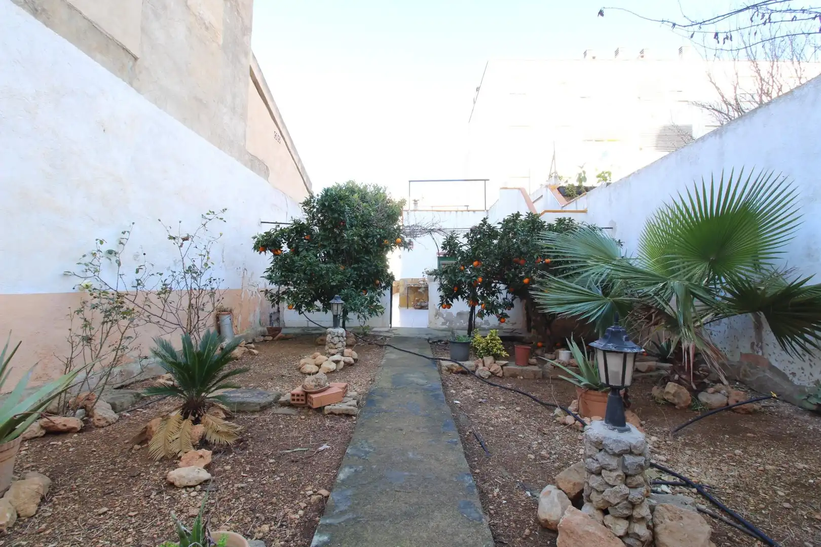 Jardín de Casa o chalet en venta en  Palma de Mallorca con Jardín privado y Terraza