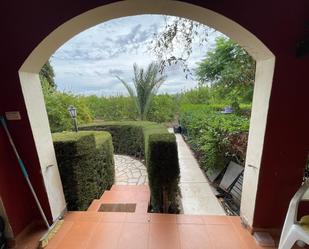 Jardí de Casa o xalet en venda en Los Montesinos amb Terrassa, Piscina i Balcó