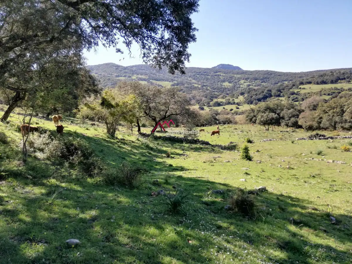 Terreny residencial en venda a Cortes de la Frontera