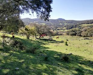 Industrial land for sale in Cortes de la Frontera