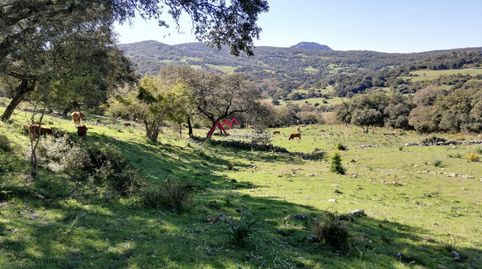 VENTA FINCA RÚSTICA CORTES DE LA FRA.