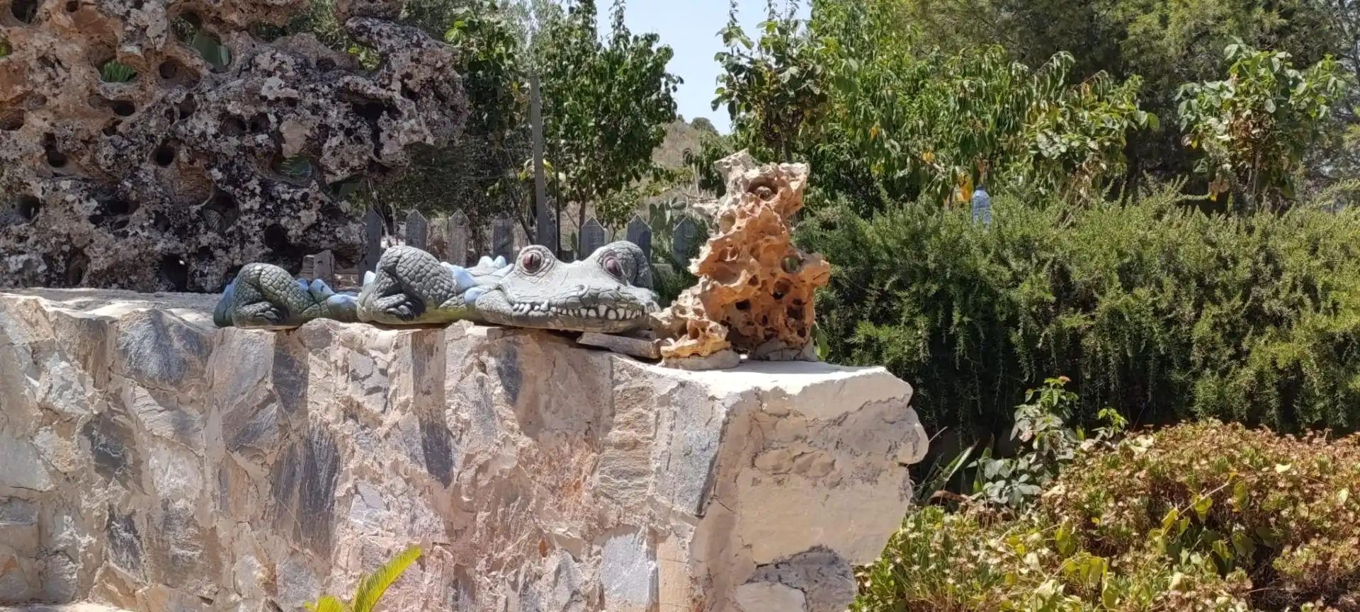 Jardín de Casa o chalet en venta en Algueña con Jardín privado, Terraza y Trastero