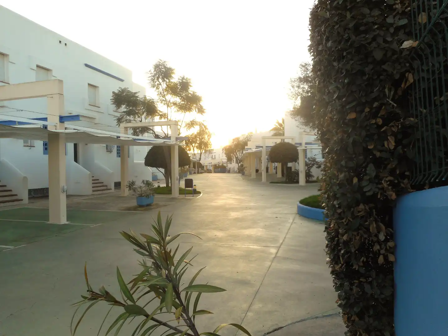 Vista exterior de Casa o xalet en venda en Islantilla amb Terrassa, Traster i Rentadora