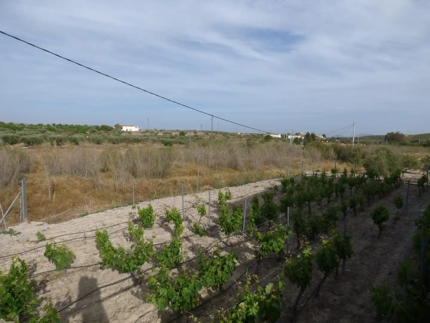 Finca rústica en venta en Uleila del Campo con Calefacción, Jardín privado y Piscina comunitaria