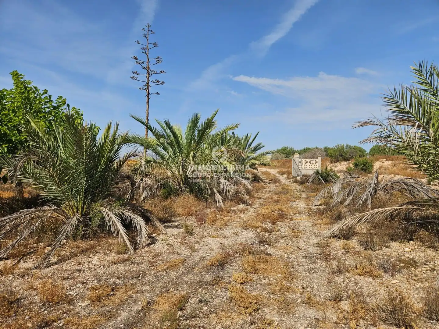 Casa o chalet en venta en Aspe