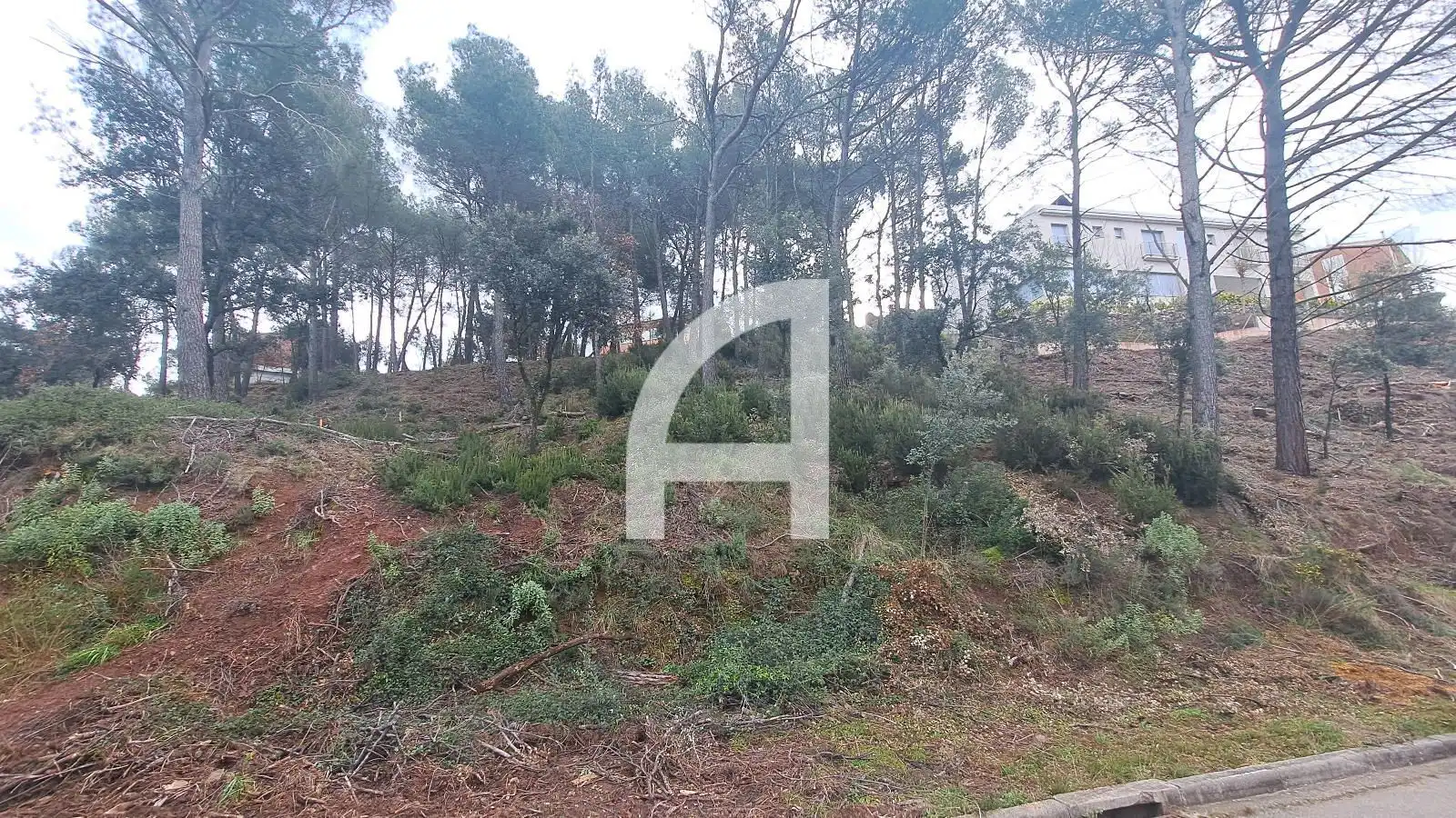 Land for sale in Matadepera