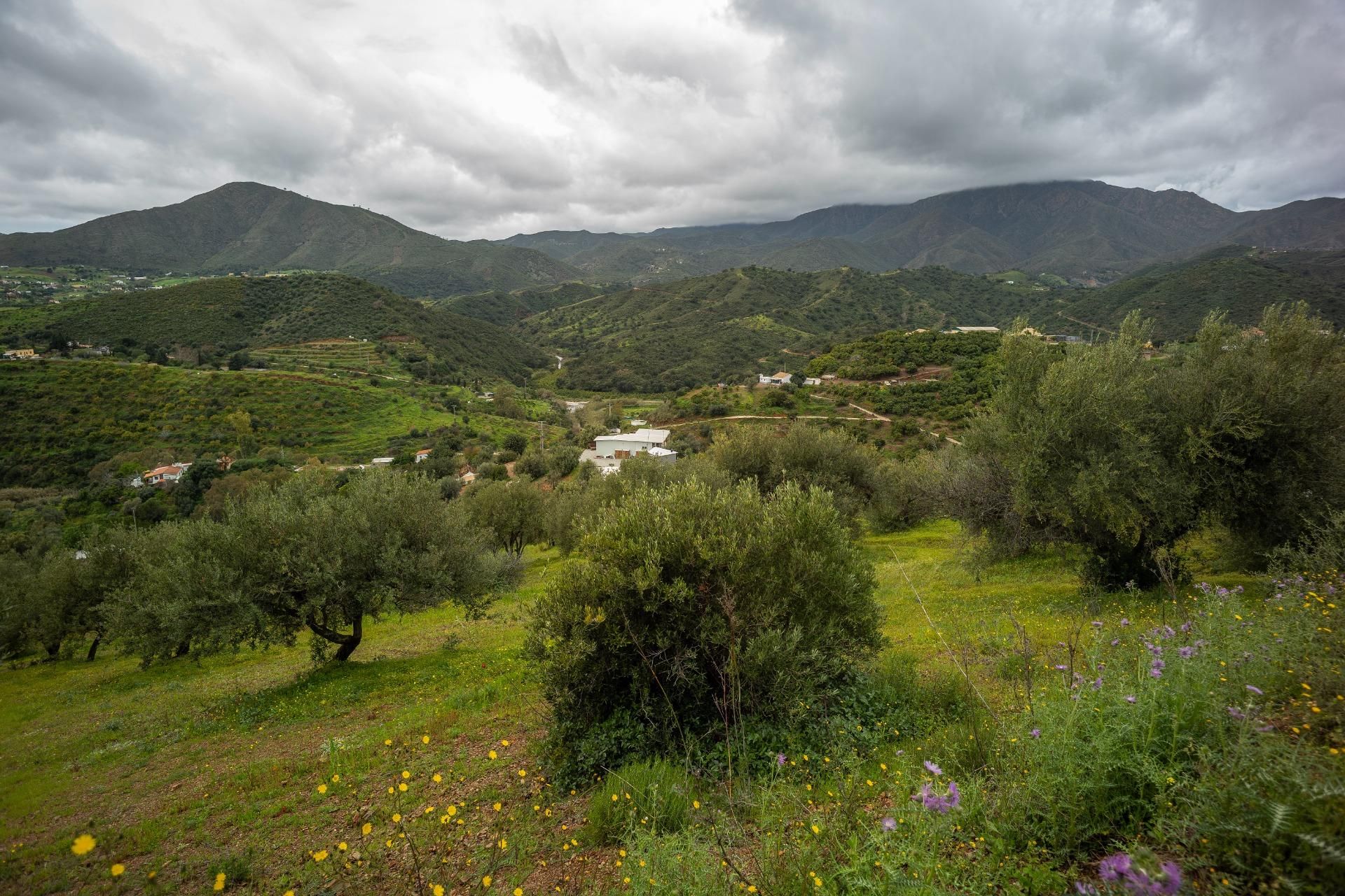 Land for sale in Mijas