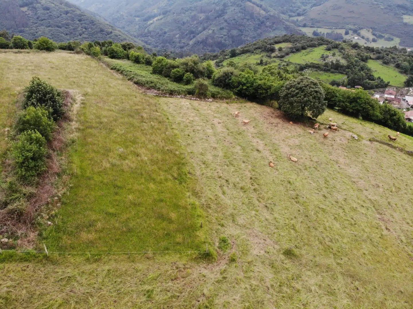 Terreny rústic en venda a Lugar VILLAGARCIA 30, imagen 32