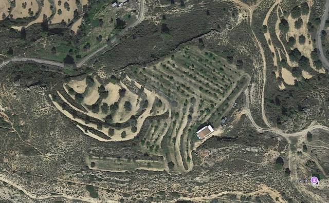 Terreno en Venta en Riba-roja d'Ebre