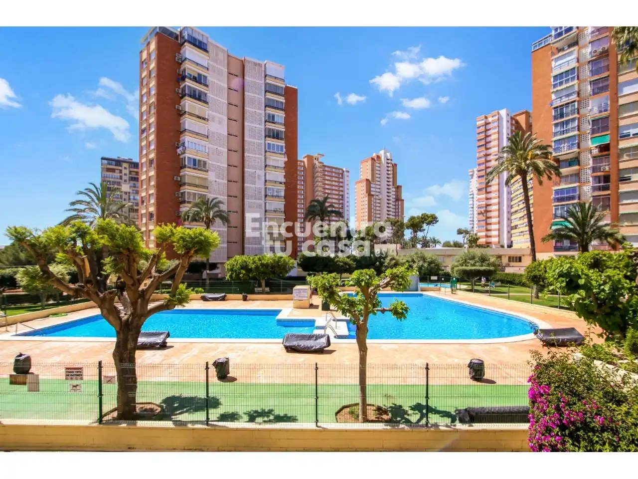 Vista exterior de Pis en venda en Benidorm amb Terrassa, Balcó i Piscina comunitària