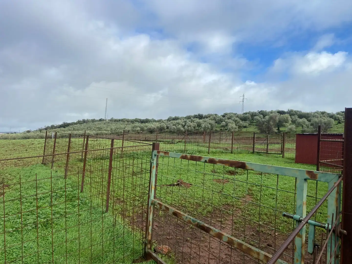 Grundstücke zum Verkauf in Olivenza
