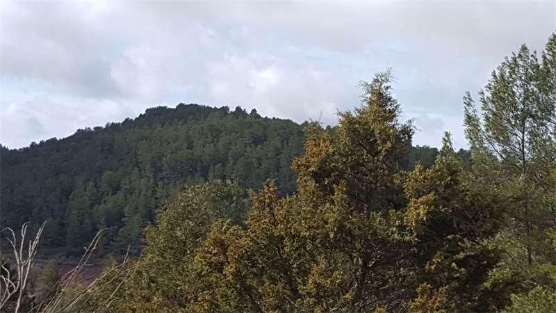 Terreno en venta en Enguídanos