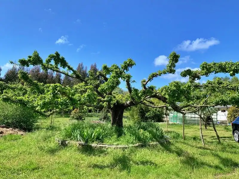 Casa en venta en Outeiro de Rei, imagen 6