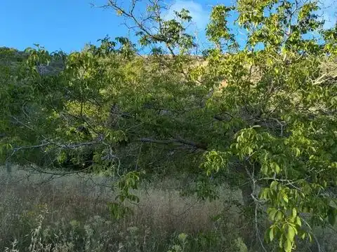 Terreni e lotti in vendita a la fuente de la higuera 22, imagen 10