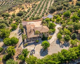 Vista exterior de Finca rústica en venda en Colomera amb Aire condicionat, Calefacció i Jardí privat