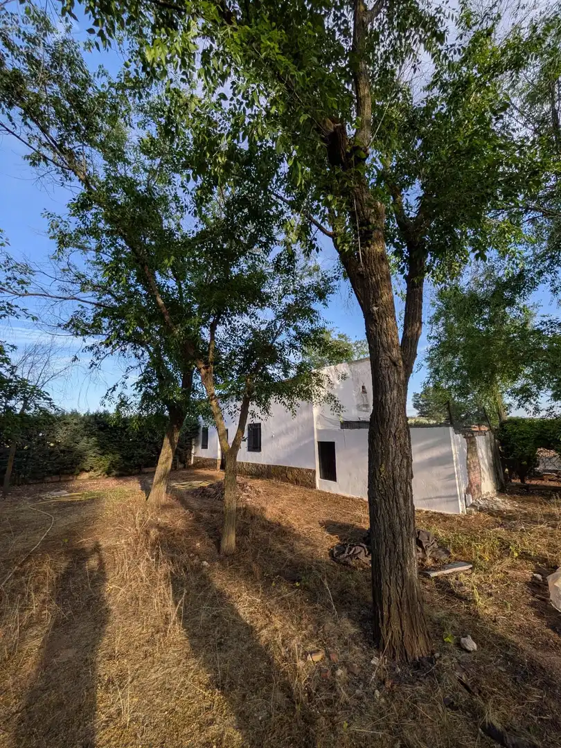 Vista exterior de Finca rústica en venta en Miguelturra con Aire acondicionado, Calefacción y Jardín privado