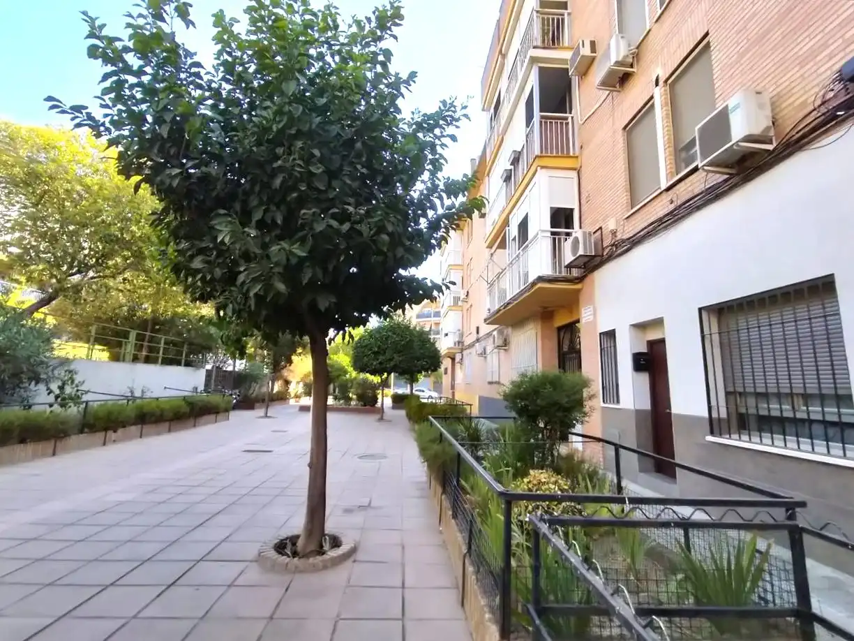 Apartamento en venta en Levante, imagen 5