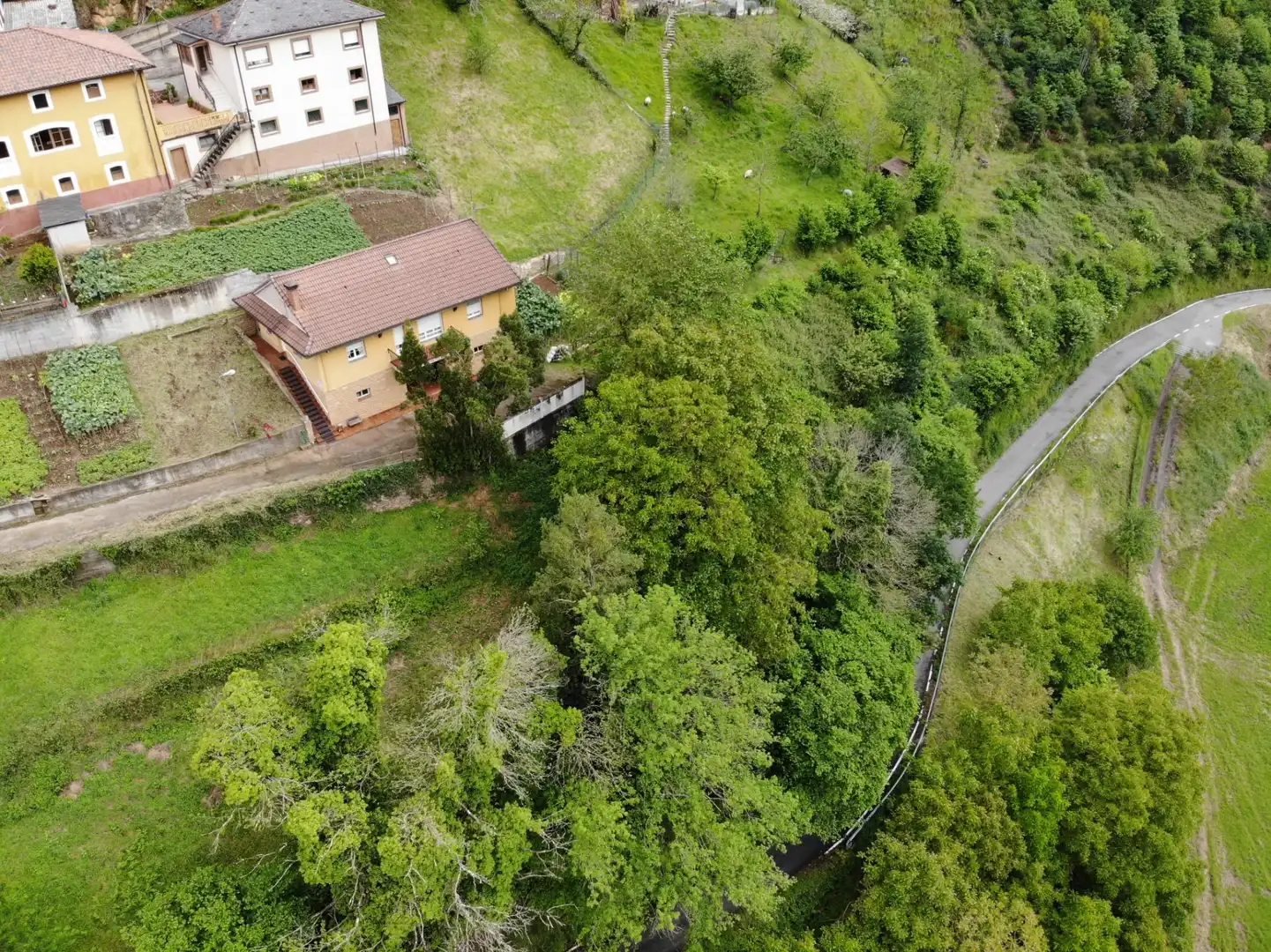 Casa o xalet en venda en Tineo amb Calefacció, Jardí privat i Terrassa