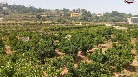 Foto 4 de Finca rústica en venda a Calle Molí Primer, La Font d'en Carròs, Valencia