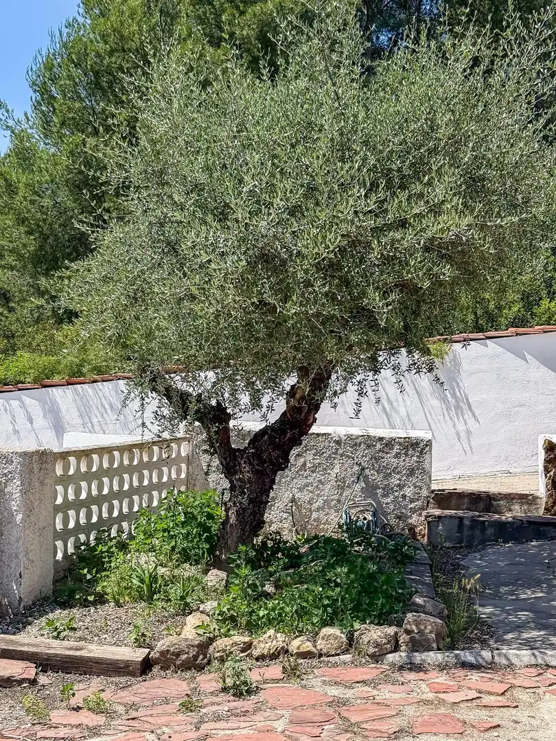 Villa con piscina in vendita a L'Alcora, imagen 38