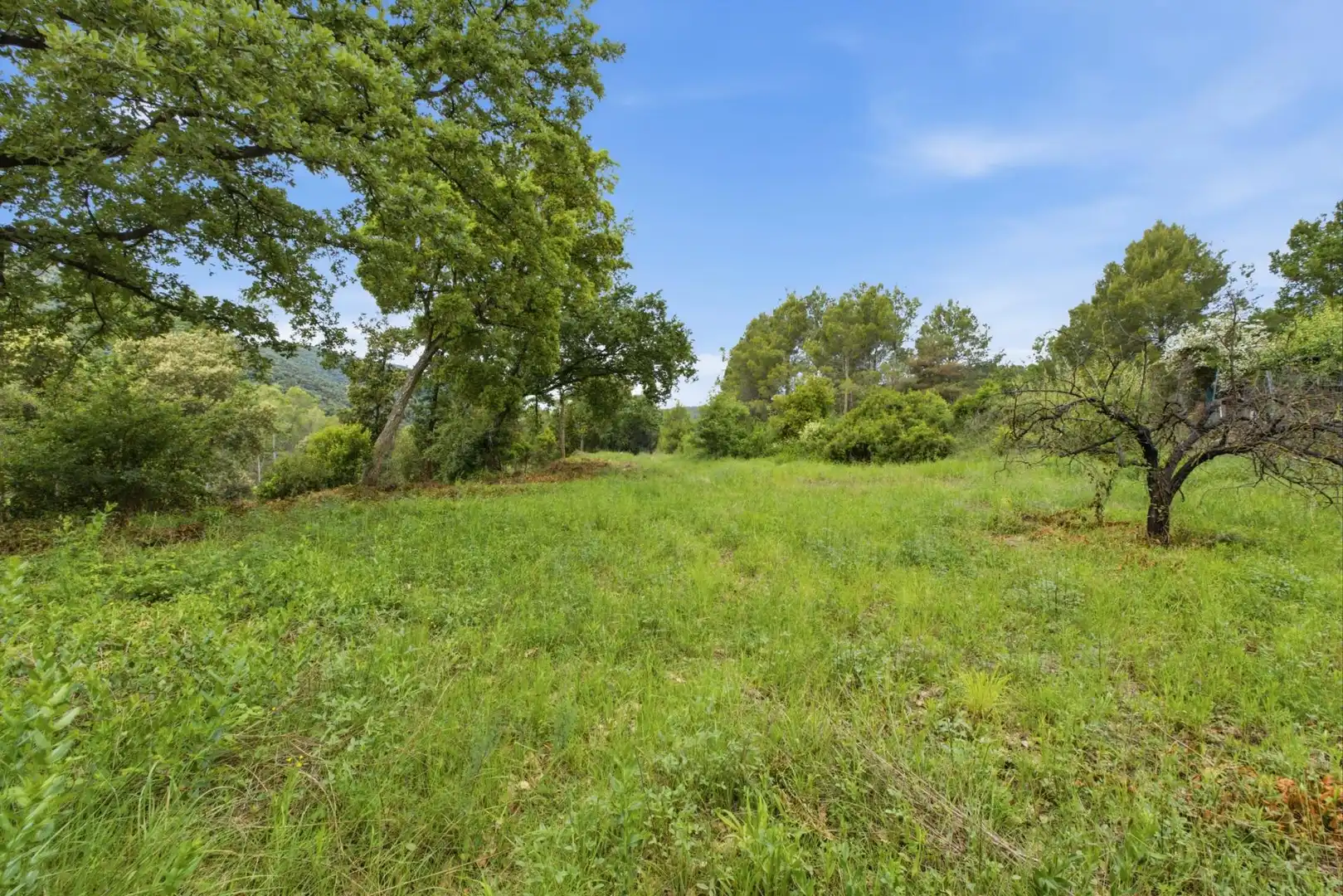 Residential land for sale in 120A,  Avinguda de Catalunya, imagen 13
