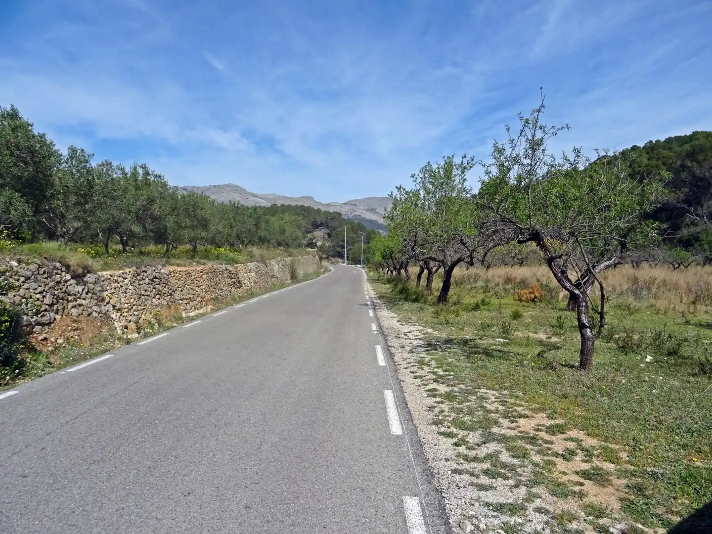 Terreny residencial en venda a Murla, imagen 9