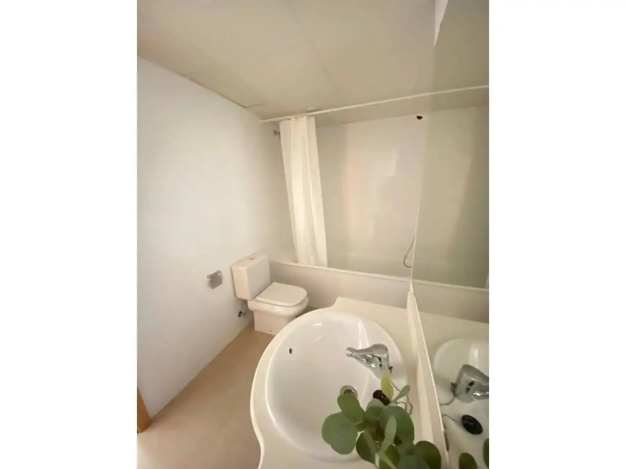 Apartments for rent in Cabanes, Castellón