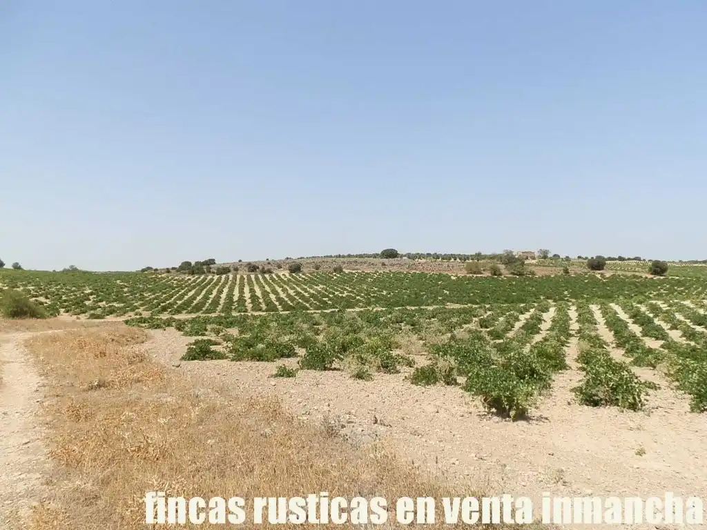 Terreni e lotti in vendita a Mota del Cuervo, imagen 4