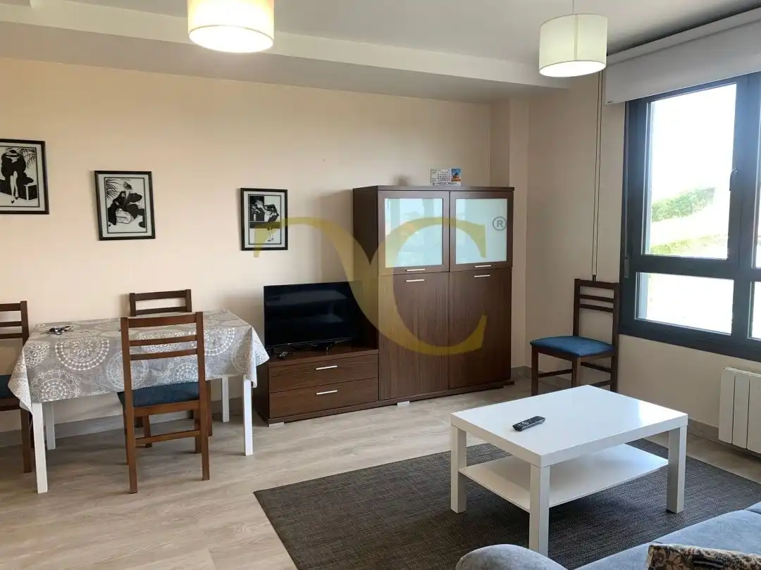 Living room of Apartments for sale in Llanes  with Heating, Storage room and Furnished