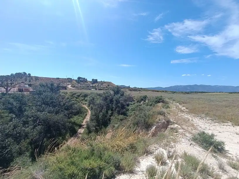 Lands and plots for sale in Mula, imagen 16