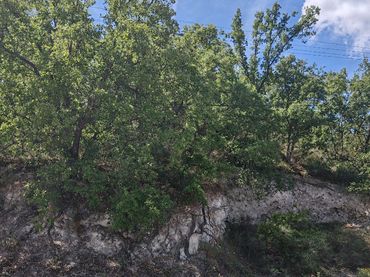 Residential land for sale in Calle Fresno 21