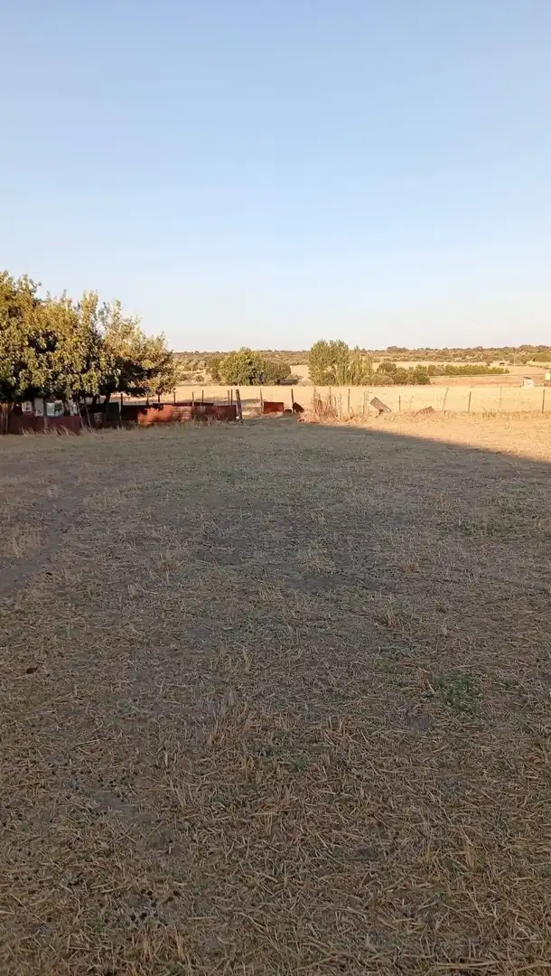 Terreny residencial en venda a Aldea del Cano, imagen 10