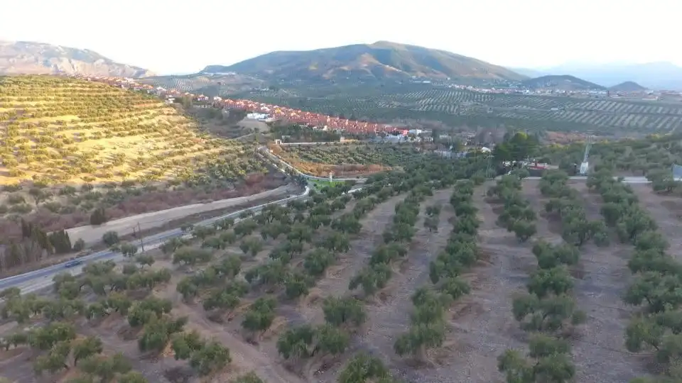 Terreni e lotti in vendita a La Guardia de Jaén, imagen 7